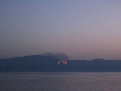 IMG_1984.jpg