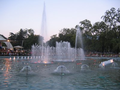 IMG_2037.jpg