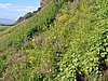 IMG_1877.jpg