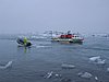 IMG_1895.jpg