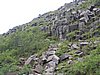 IMG_1906.jpg