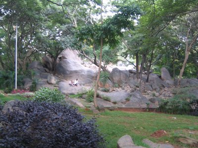 IMG_2114.jpg