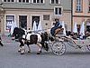 IMG_1651.jpg