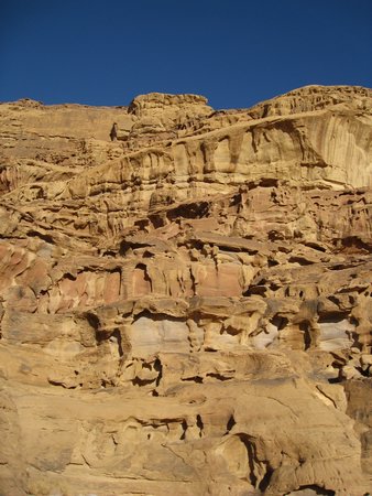 IMG_1663.JPG