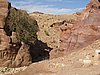 IMG_1555.JPG