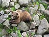IMG_0750.JPG