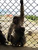 IMG_0863.JPG
