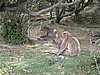 IMG_0869.JPG