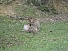 IMG_0871.JPG