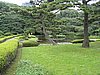 IMG_0924.JPG
