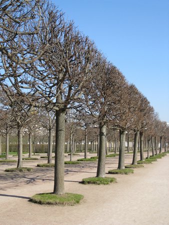 IMG_0466.JPG