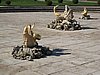 IMG_0463.JPG
