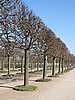 IMG_0466.JPG