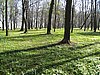 IMG_0482.JPG