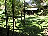 IMG_5141.JPG
