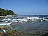 IMG_5295.JPG
