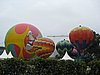 IMG_5842.JPG