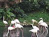 IMG_5886.JPG