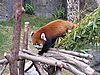 IMG_5897.JPG