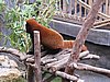 IMG_5899.JPG