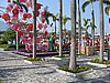 IMG_1817.JPG