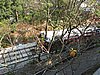 IMG_1932.JPG
