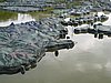 IMG_1970.JPG
