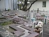 IMG_2037.JPG