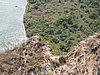 IMG_2077.JPG