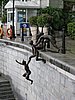 IMG_2138.JPG