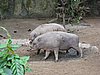 IMG_2144.JPG