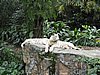 IMG_2145.JPG