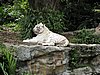 IMG_2146.JPG