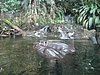 IMG_2147.JPG