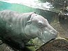 IMG_2148.JPG