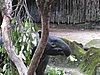 IMG_2186.JPG