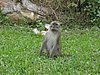 IMG_2229.JPG