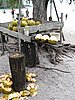 IMG_2271.JPG