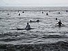 IMG_2325.JPG