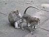 IMG_2349.JPG