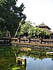 IMG_2447.JPG
