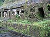 IMG_2533.JPG
