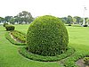 IMG_2646.JPG