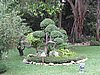 IMG_2653.JPG