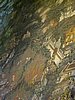 IMG_2847.JPG