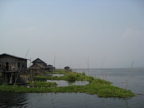 IMG_3136.JPG