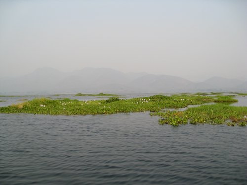 IMG_3160.JPG