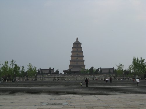 IMG_3367.JPG