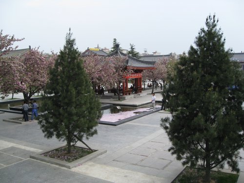 IMG_3370.JPG