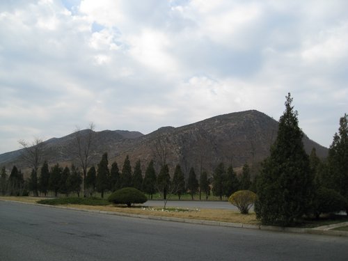IMG_3472.JPG
